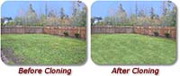 Advanced landscape design using the Clone Tool