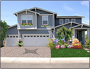 Landscape Design Ideas