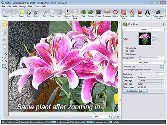 Closeup of the Landscape Design
