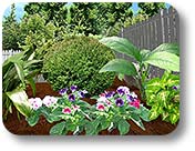 Backyard Design Ideas