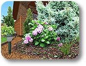 Garden design software
