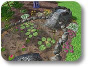 Ponds and watergarden design