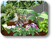 Backyard Design Ideas