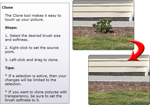 Landscaping Design Software Object Removal